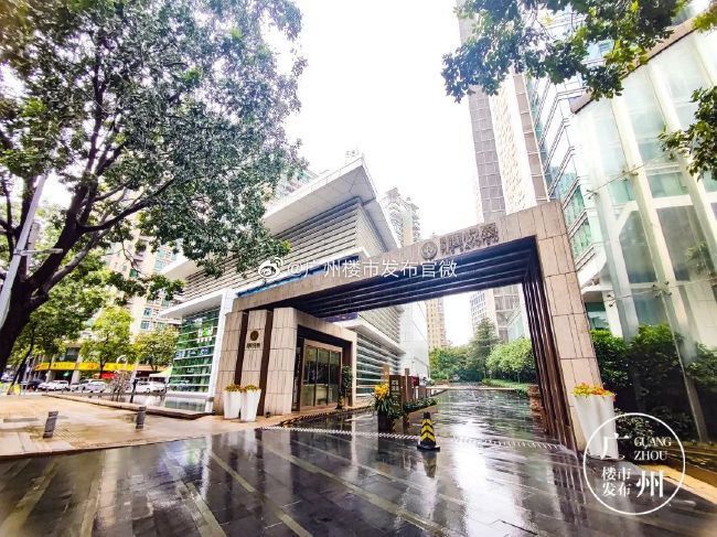 因为叶长缨有了未婚妻，但还没有结婚，所以杜海清依旧觉得有一线希望、依旧不愿放弃。